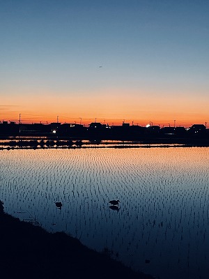 季織の家　夕焼け